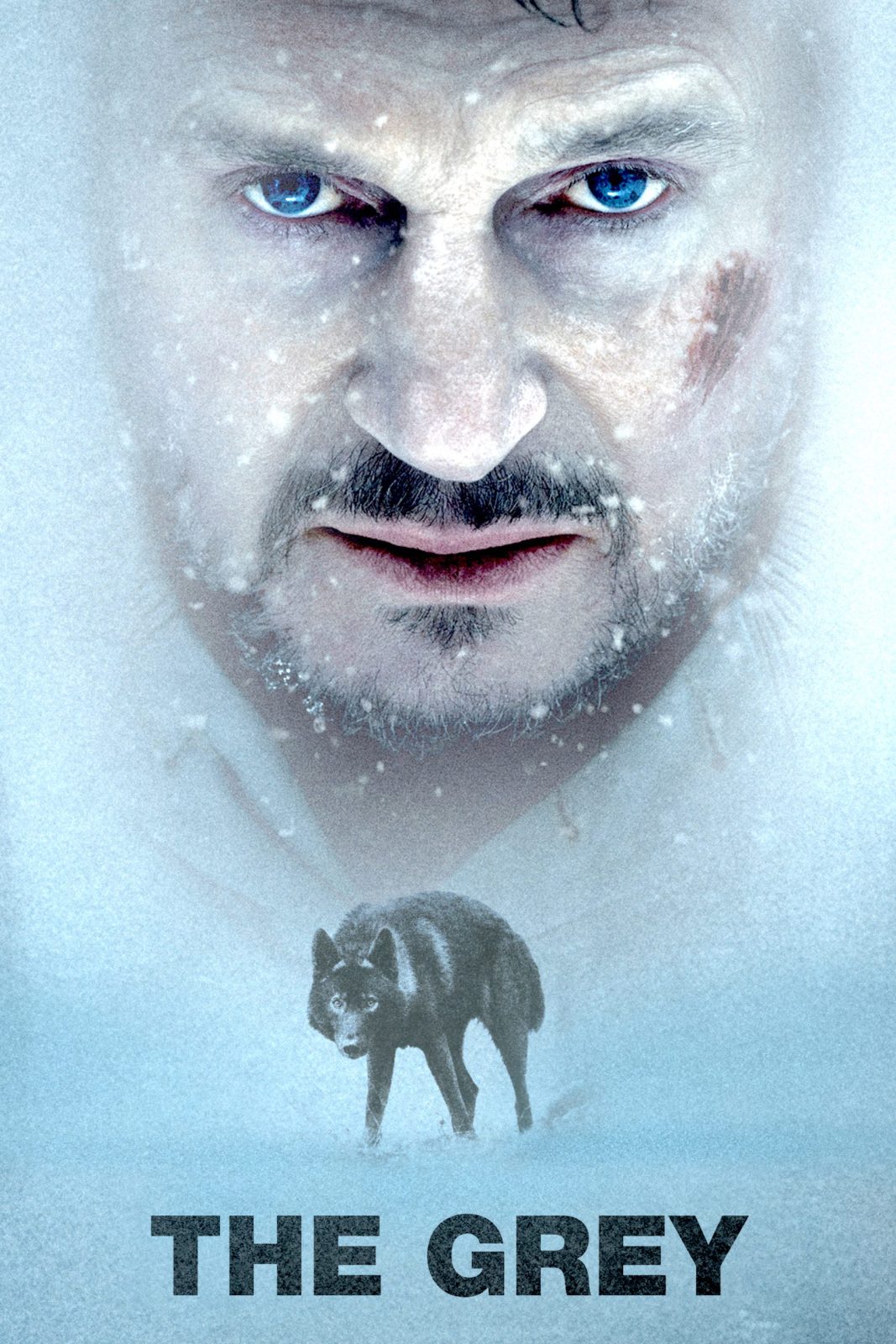 دانلود فیلم The Grey 2011 خاکستری